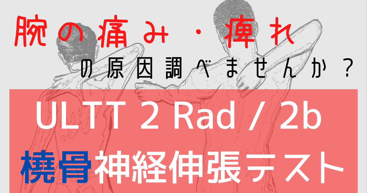 肩・腕にしびれの原因は橈骨神経かも？伸張検査ULTT 2 Rad(ULTT 2b)のテストをやってみよう！